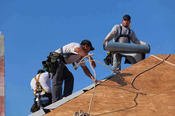 Best Roof Repair Services  in Buchanan Dam, TX